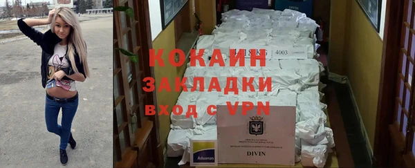 прущие грибы Елабуга