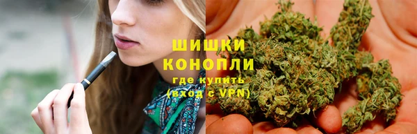 прущие грибы Елабуга