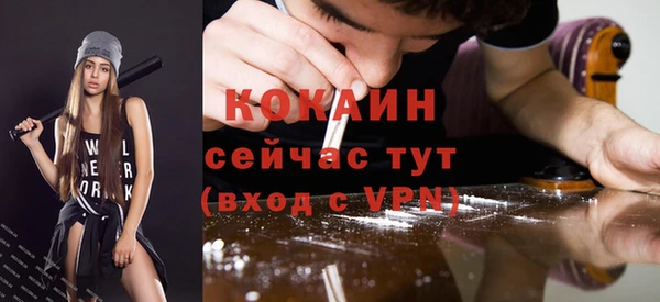 a pvp Ельня