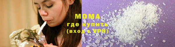прущие грибы Елабуга