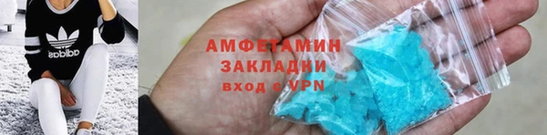 прущие грибы Елабуга