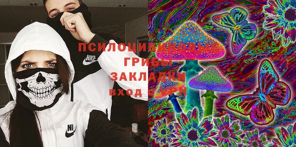 a pvp Ельня
