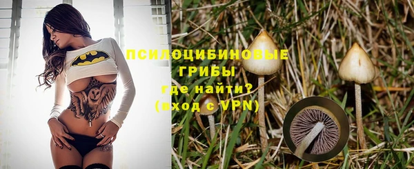 a pvp Ельня