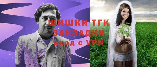 прущие грибы Елабуга